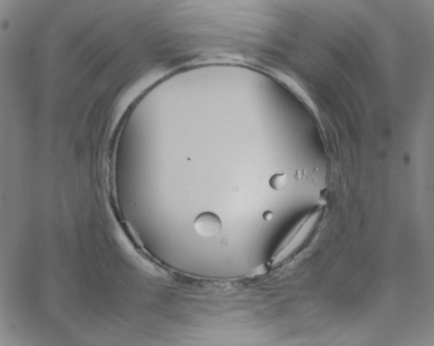 X0000067521003200604281629