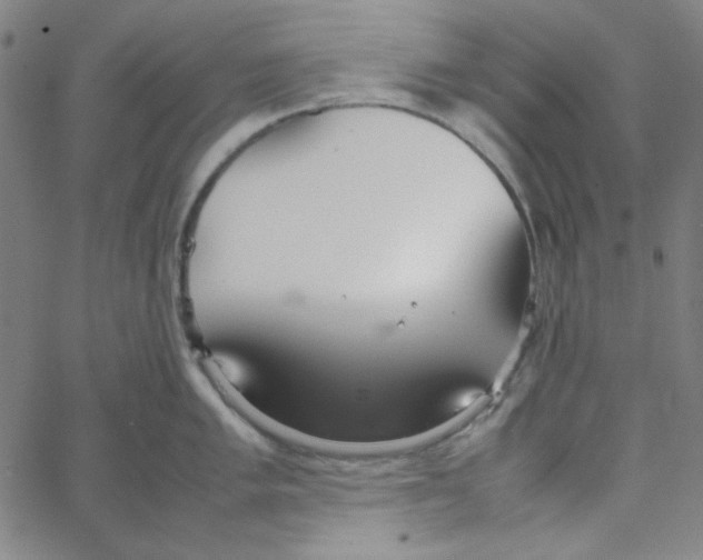 X0000067521005200604281629