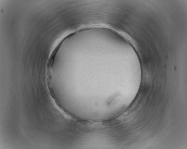 X0000067521006200604281629