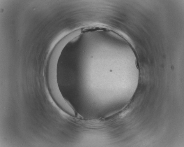 X0000067521007200604281629