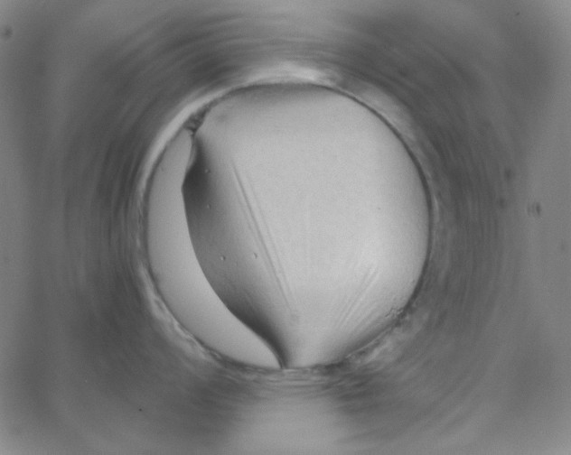 X0000067521008200604281629