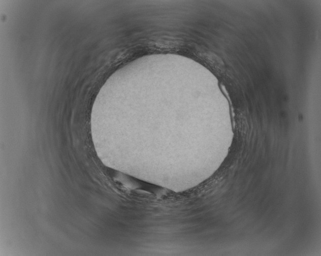 X0000067521009200604281628