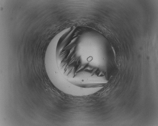 X0000067521010200604281628