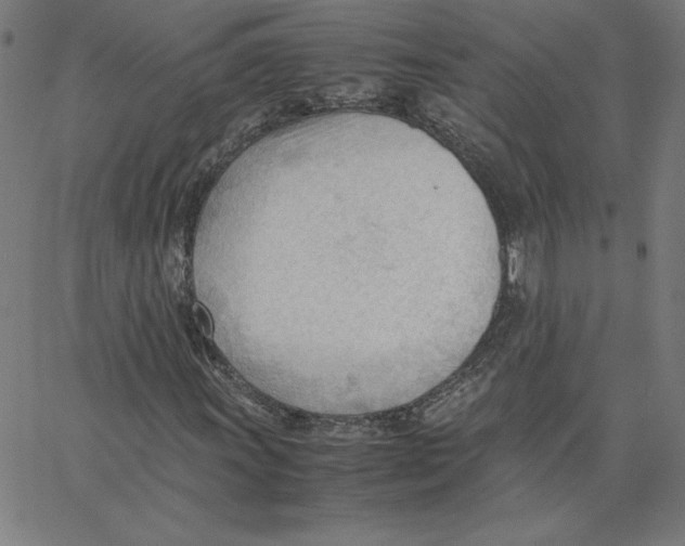 X0000067521011200604281628