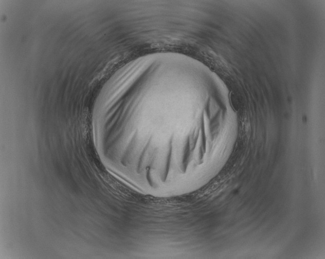 X0000067521012200604281628