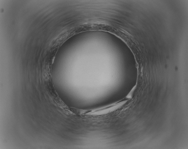 X0000067521014200604281628