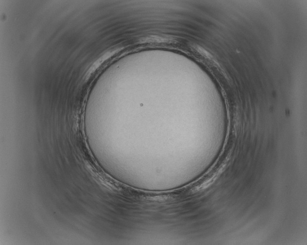 X0000067521017200604281628