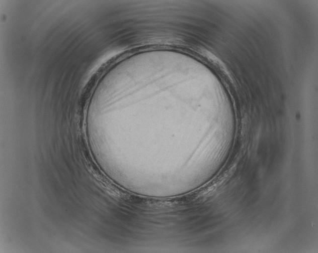 X0000067521019200604281628