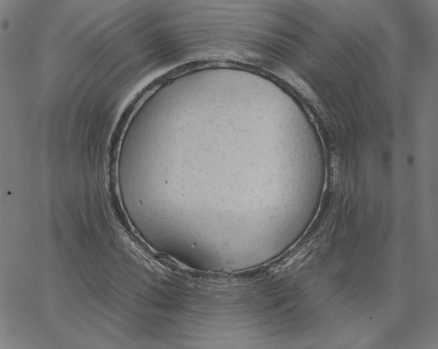 X0000067521020200604281628