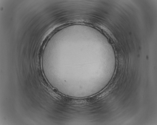 X0000067521023200604281628