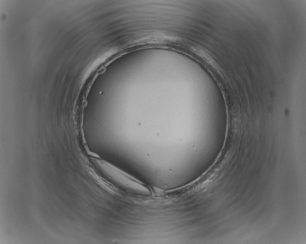 X0000067521026200604281629