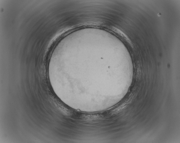 X0000067521027200604281629