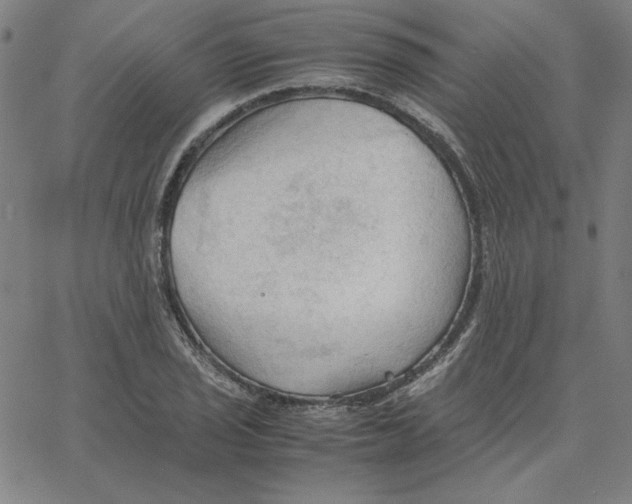 X0000067521029200604281629