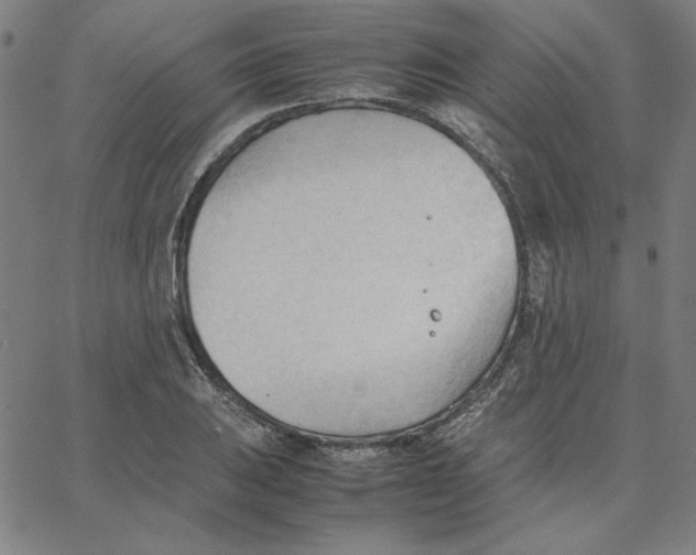 X0000067521031200604281629