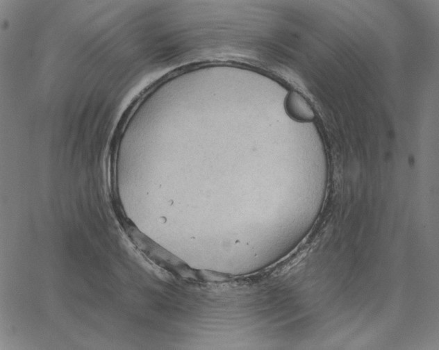 X0000067521032200604281629