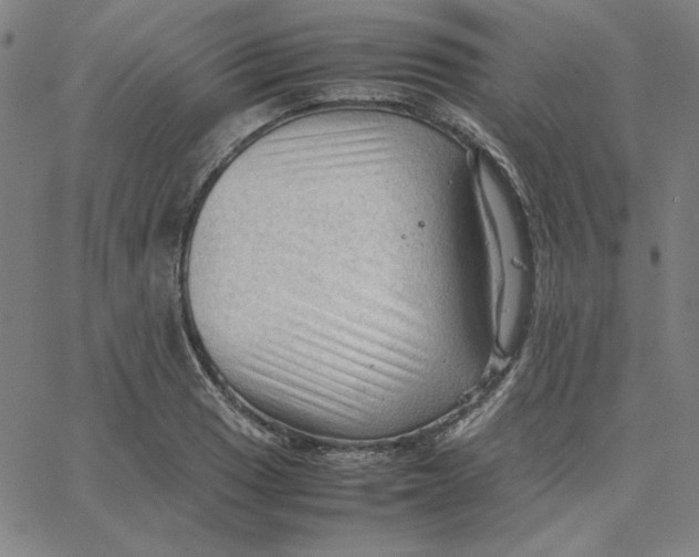 X0000067521033200604281629