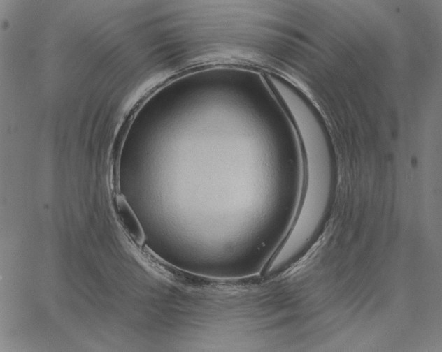 X0000067521034200604281629