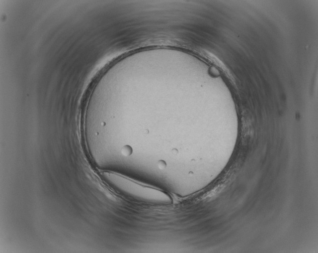 X0000067521035200604281629