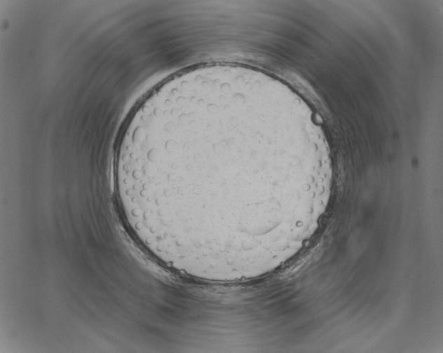 X0000067521036200604281629