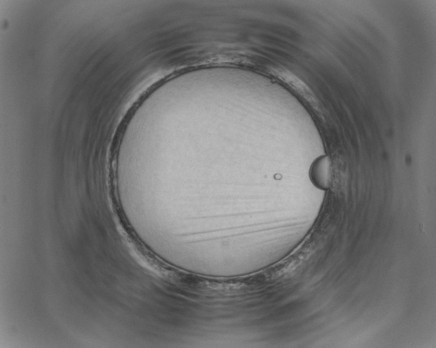 X0000067521039200604281629