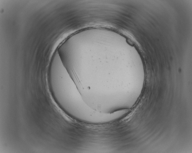 X0000067521040200604281629