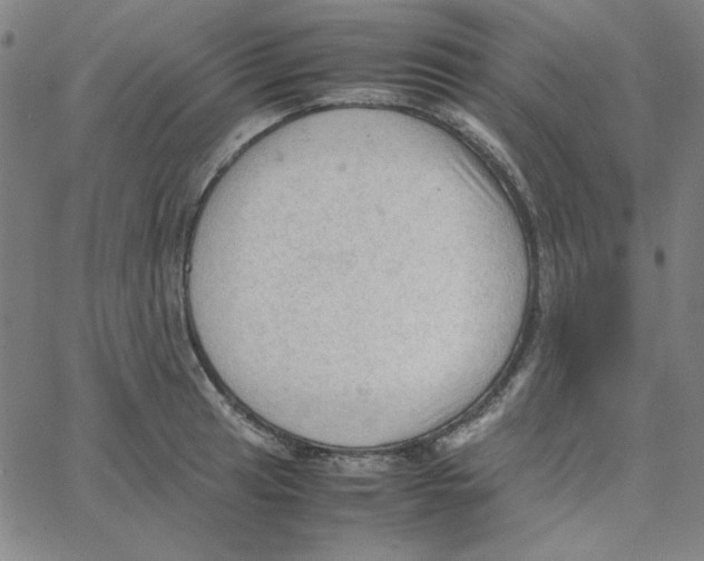 X0000067521041200604281629