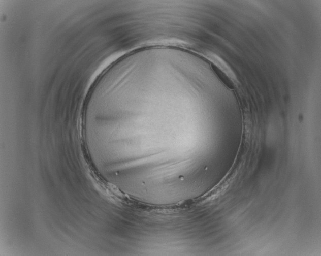 X0000067521044200604281629