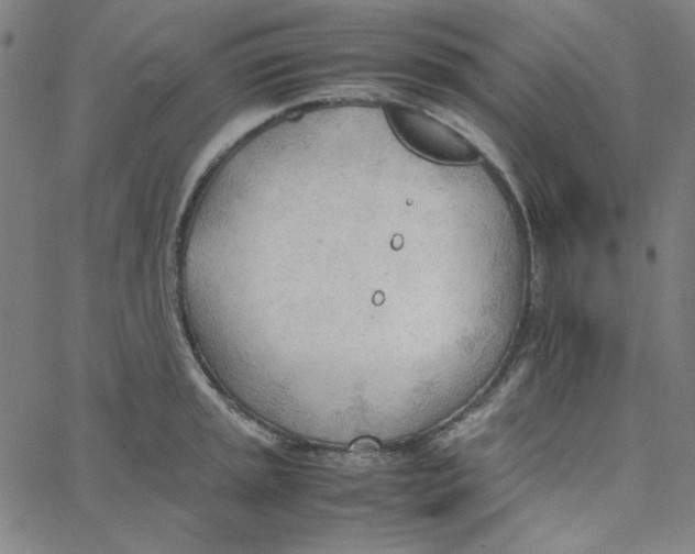 X0000067521045200604281629