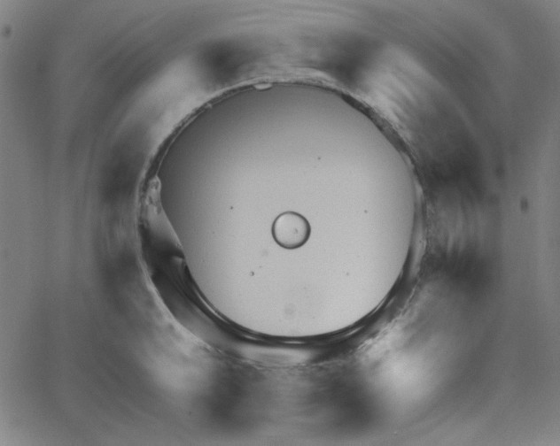 X0000067521046200604281629