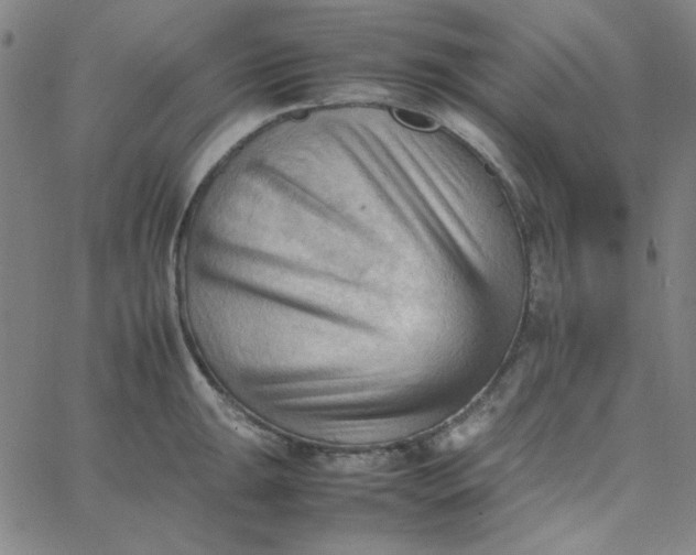 X0000067521047200604281629