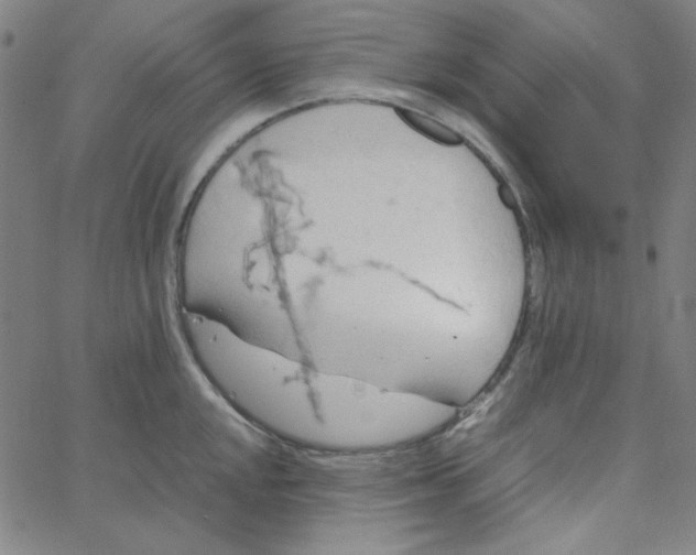 X0000067521048200604281629