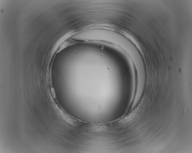 X0000067521050200604281629