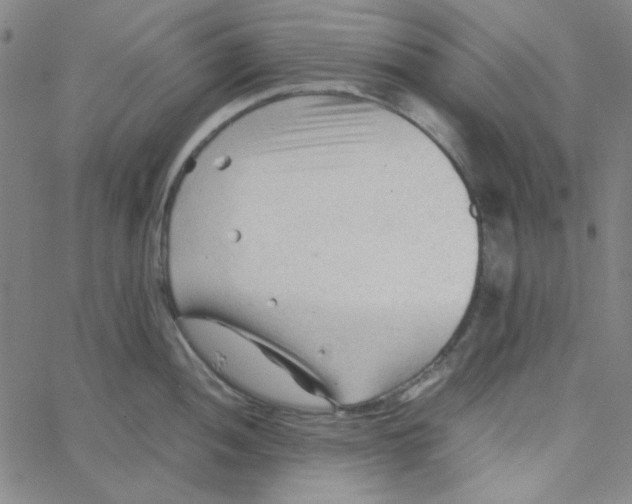 X0000067521052200604281629