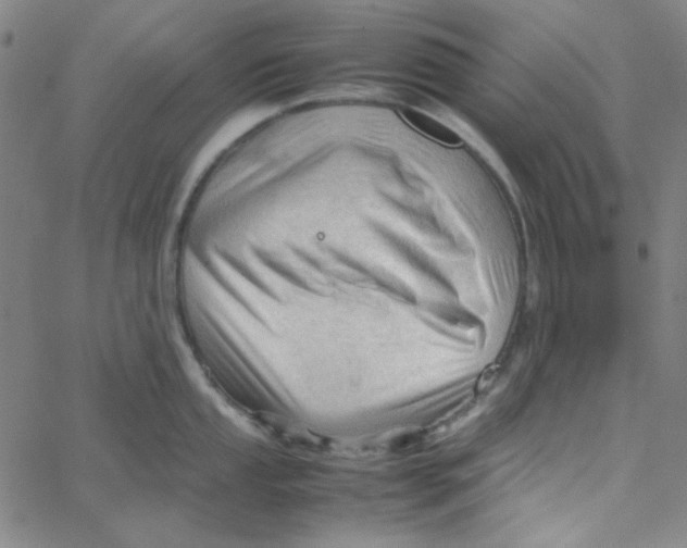 X0000067521053200604281629