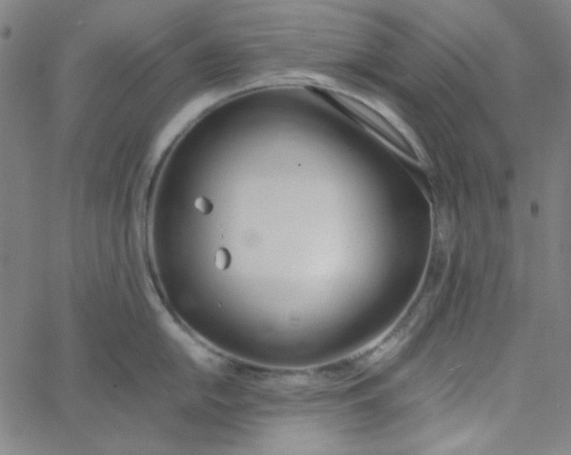 X0000067521054200604281629