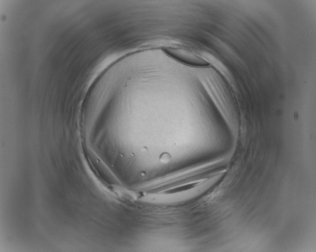 X0000067521055200604281629