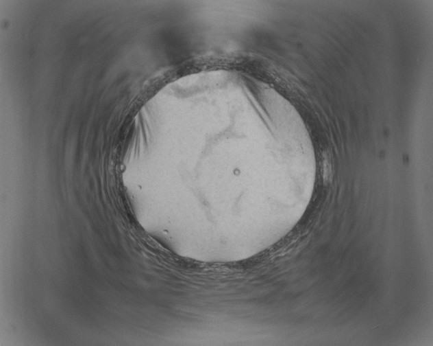 X0000067521059200604281628