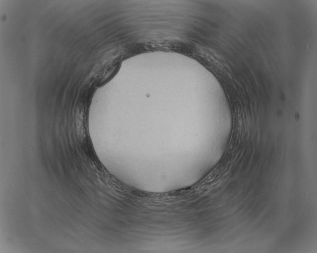 X0000067521060200604281628