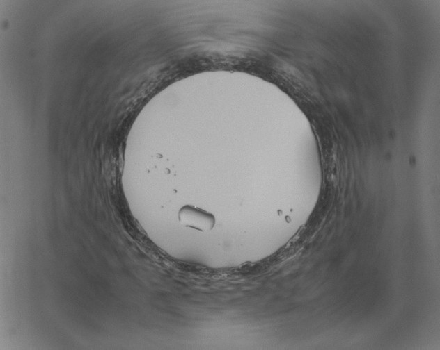 X0000067521061200604281628