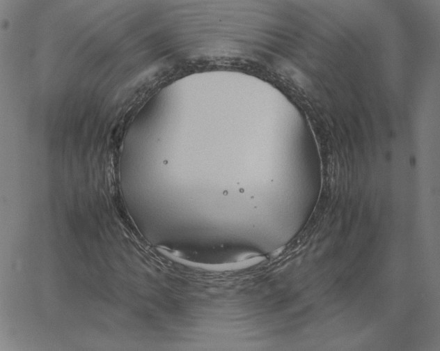 X0000067521062200604281628