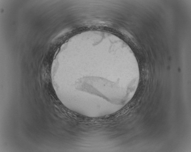 X0000067521063200604281628