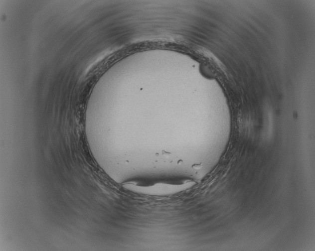 X0000067521064200604281628