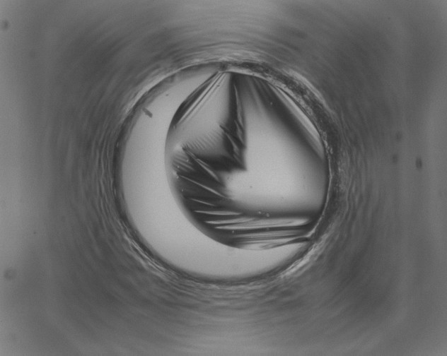 X0000067521065200604281628