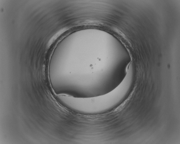 X0000067521066200604281628