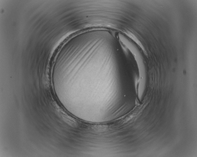 X0000067521068200604281628