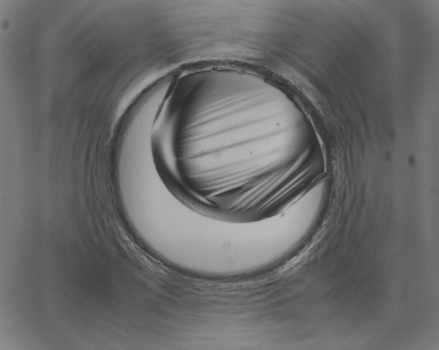 X0000067521069200604281628