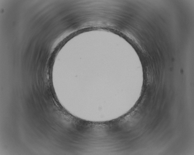 X0000067521070200604281628