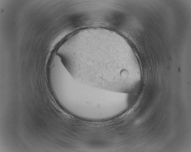 X0000067521071200604281628