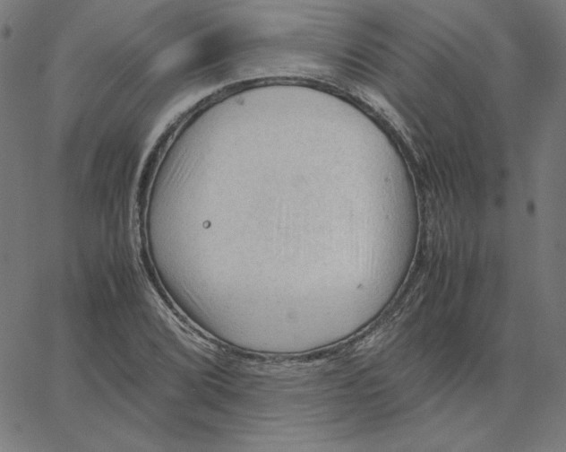 X0000067521072200604281628