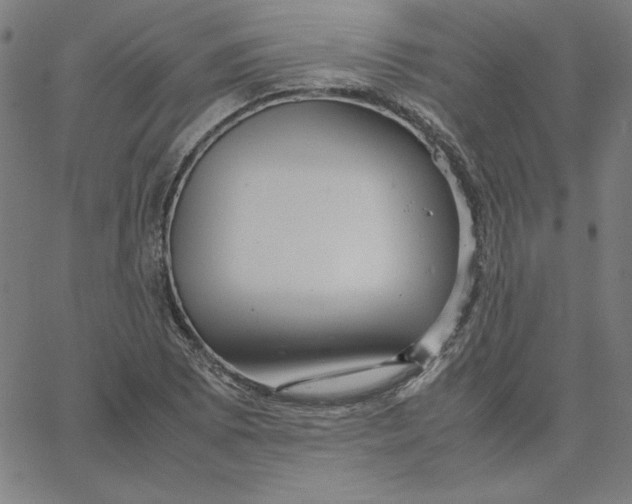 X0000067521073200604281628